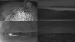 Sdružený snímek Bludný