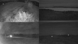 Sdružený snímek Bludný