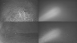 Sdružený snímek Bludný