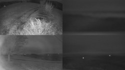 Sdružený snímek Bludný