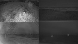 Sdružený snímek Bludný