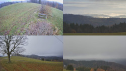 Sdružený snímek Bludný