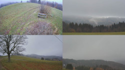 Sdružený snímek Bludný