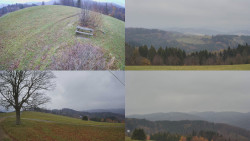 Sdružený snímek Bludný