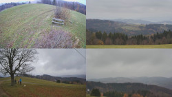 Sdružený snímek Bludný