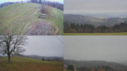 Sdružený snímek Bludný