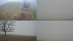 Sdružený snímek Bludný