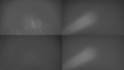 Sdružený snímek Bludný