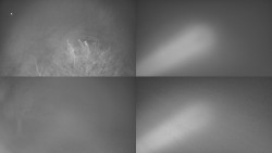 Sdružený snímek Bludný