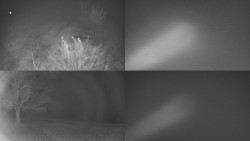 Sdružený snímek Bludný