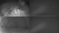 Sdružený snímek Bludný