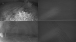 Sdružený snímek Bludný