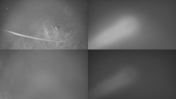 Sdružený snímek Bludný