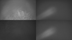 Sdružený snímek Bludný