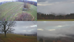 Sdružený snímek Bludný