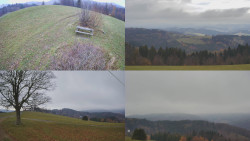 Sdružený snímek Bludný