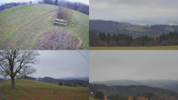 Sdružený snímek Bludný