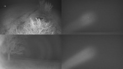 Sdružený snímek Bludný