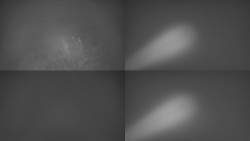 Sdružený snímek Bludný