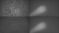 Sdružený snímek Bludný