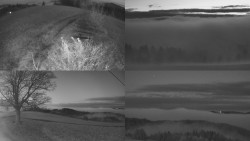 Sdružený snímek Bludný