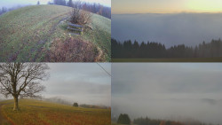 Sdružený snímek Bludný