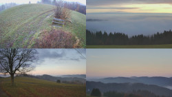 Sdružený snímek Bludný