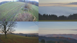 Sdružený snímek Bludný