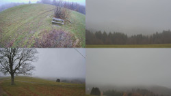 Sdružený snímek Bludný