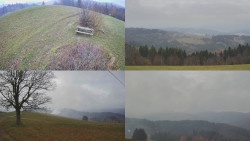 Sdružený snímek Bludný