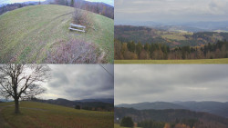 Sdružený snímek Bludný