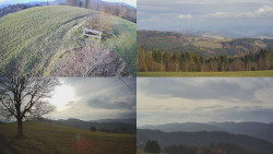 Sdružený snímek Bludný