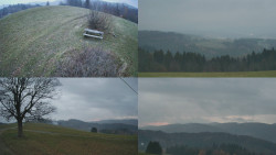 Sdružený snímek Bludný