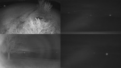 Sdružený snímek Bludný