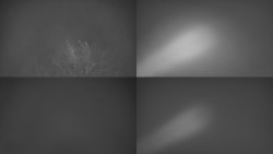 Sdružený snímek Bludný