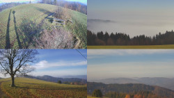 Sdružený snímek Bludný