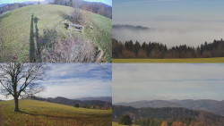 Sdružený snímek Bludný