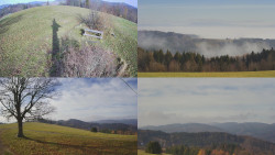 Sdružený snímek Bludný