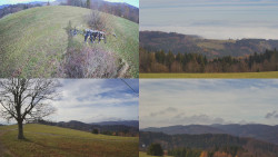 Sdružený snímek Bludný