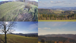 Sdružený snímek Bludný