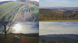 Sdružený snímek Bludný