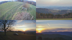 Sdružený snímek Bludný