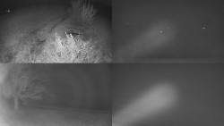 Sdružený snímek Bludný