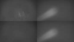 Sdružený snímek Bludný