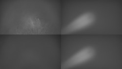 Sdružený snímek Bludný