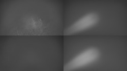 Sdružený snímek Bludný