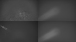 Sdružený snímek Bludný