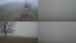 Sdružený snímek Bludný