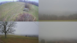 Sdružený snímek Bludný