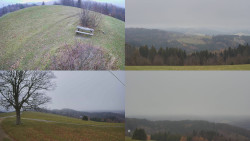 Sdružený snímek Bludný